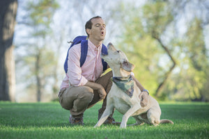 Dog Bandana