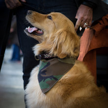 Dog Bandana - Dog Bandana