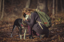 Dog Bandana - Dog Bandana